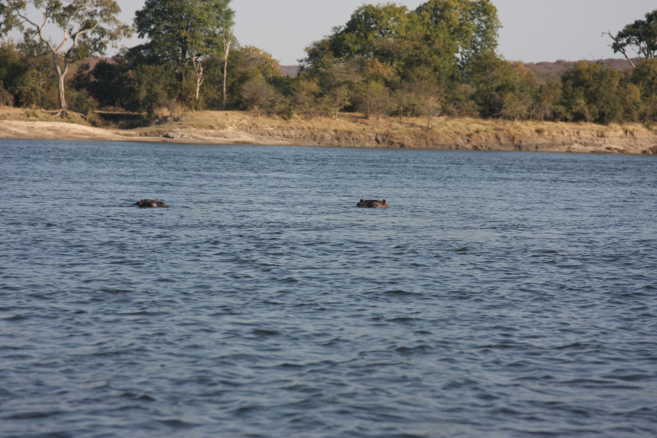 [28153] 2016_07_02_10_18_15_Africa_Canon_EOS_40D_IMG__00029.jpg