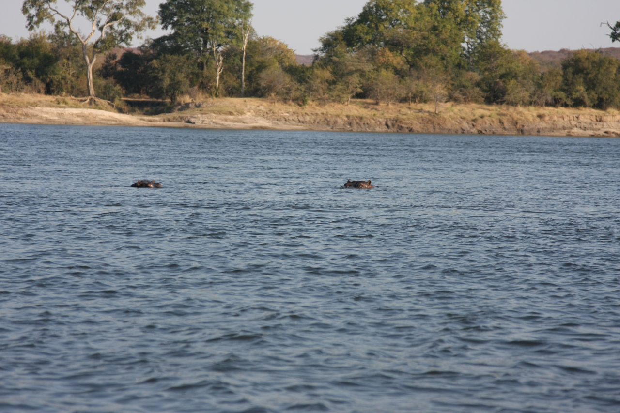 [28156] 2016_07_02_10_18_15_Africa_Canon_EOS_40D_IMG__12018.jpg