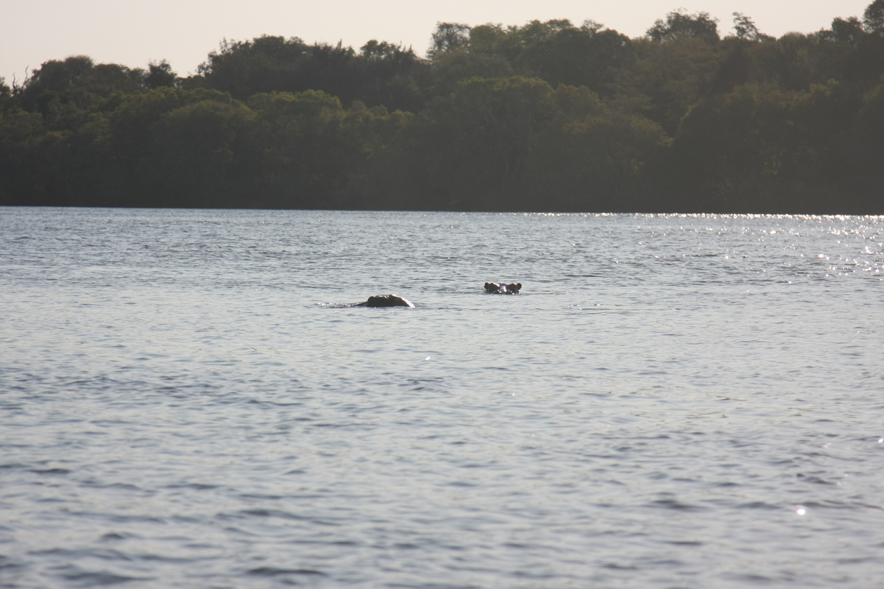 [28158] 2016_07_02_10_19_07_Africa_Canon_EOS_40D_IMG__00030.jpg