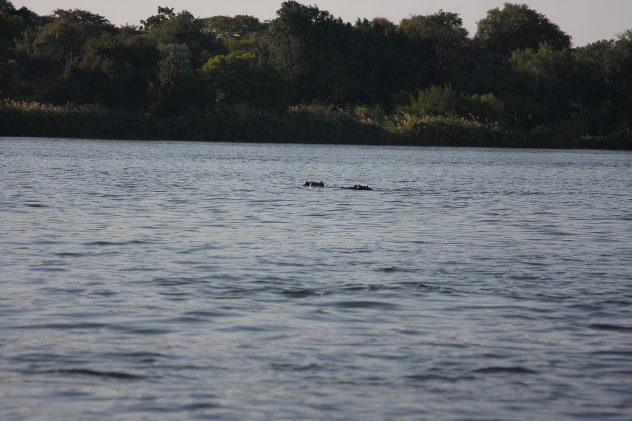 [28171] 2016_07_02_10_20_44_Africa_Canon_EOS_40D_IMG__12023.jpg