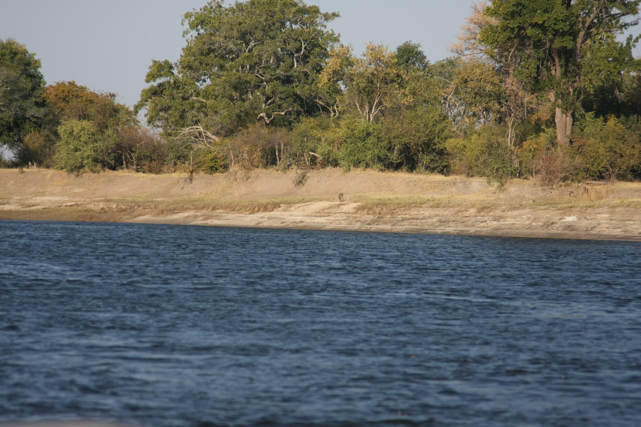 [28195] 2016_07_02_10_24_59_Africa_Canon_EOS_40D_IMG__12030.jpg