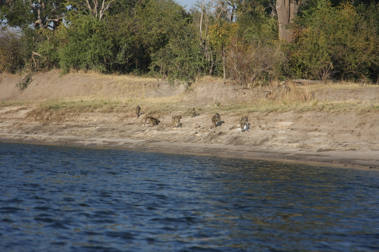 [28198] 2016_07_02_10_26_13_Africa_Canon_EOS_40D_IMG__00043.jpg