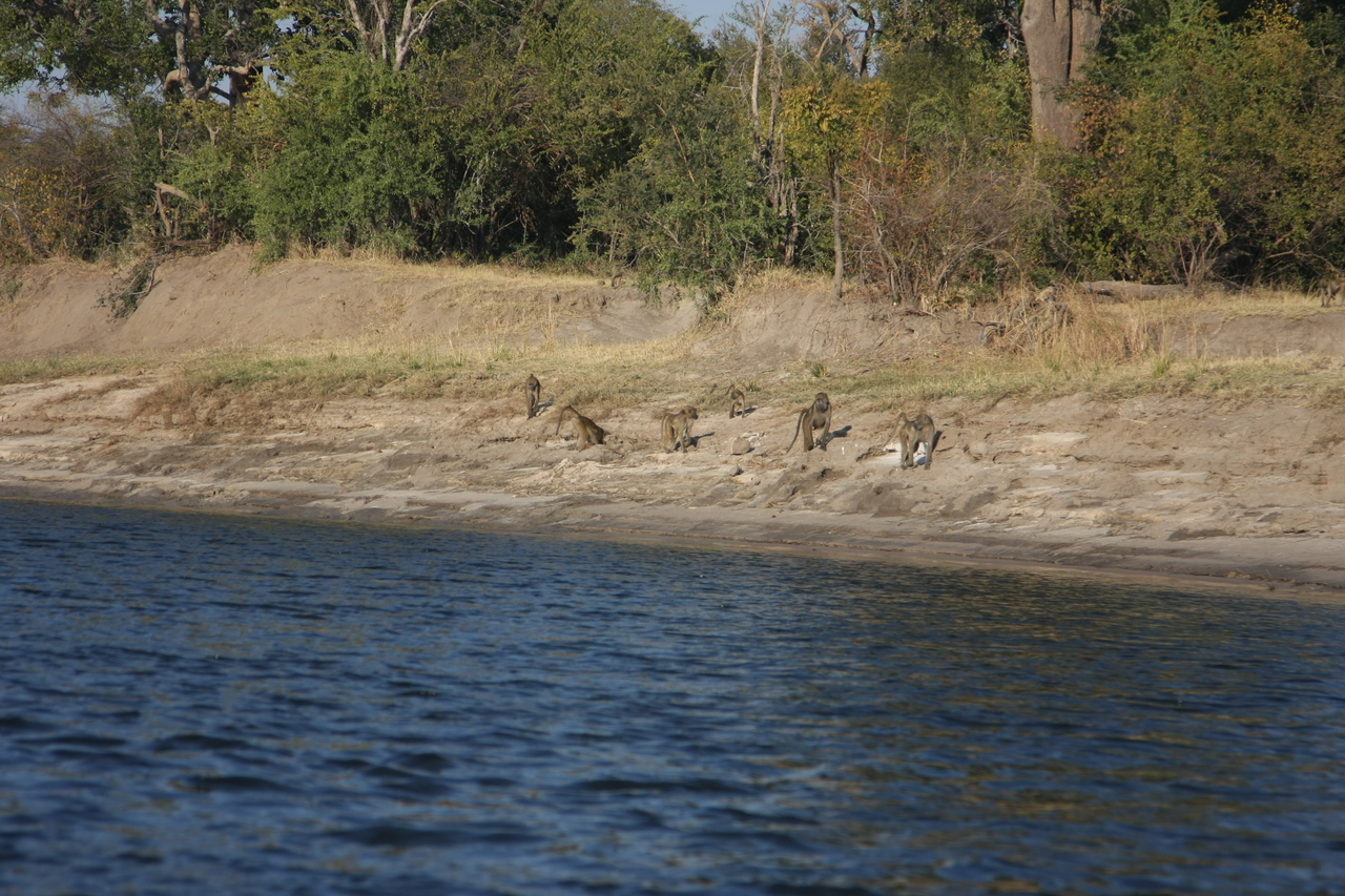 [28199] 2016_07_02_10_26_13_Africa_Canon_EOS_40D_IMG__00044.jpg