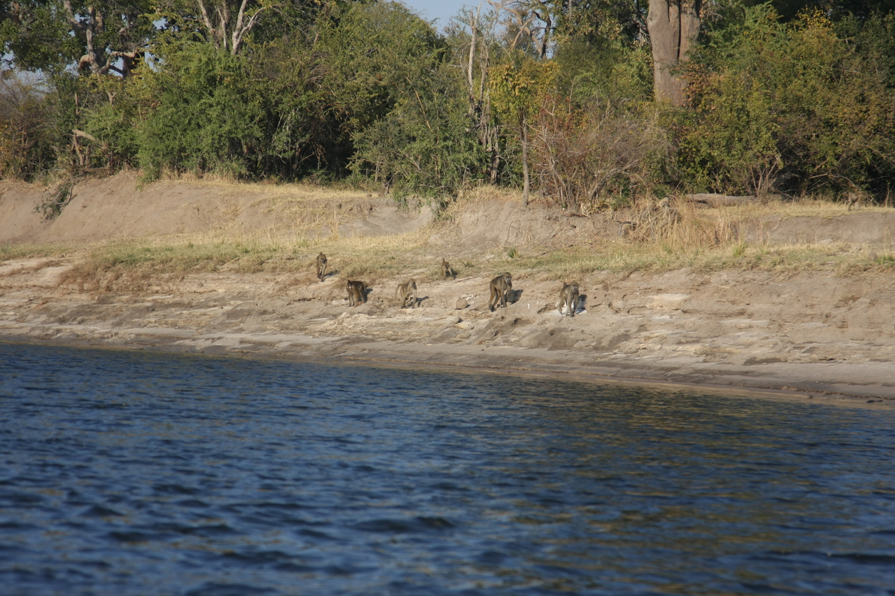 [28200] 2016_07_02_10_26_13_Africa_Canon_EOS_40D_IMG__04585.jpg