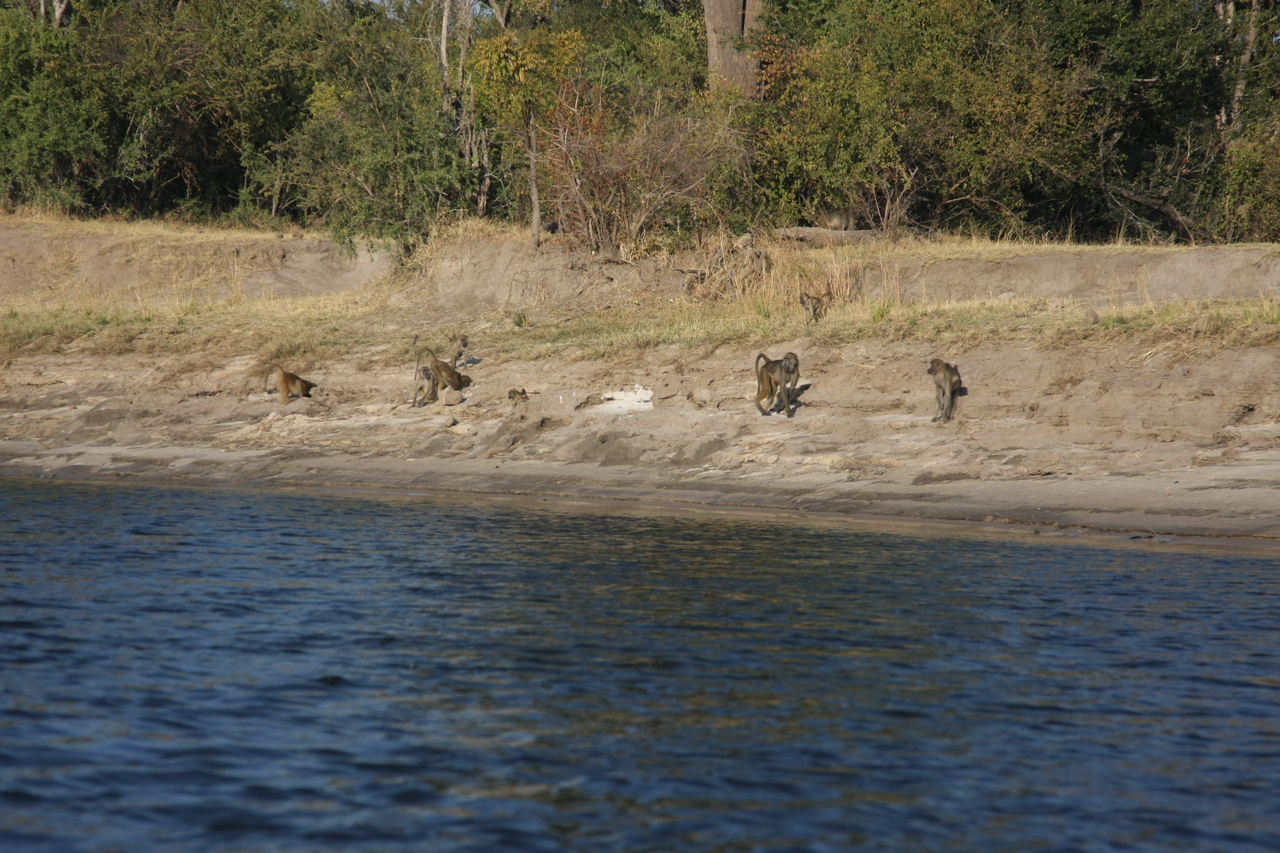 [28208] 2016_07_02_10_26_25_Africa_Canon_EOS_40D_IMG__12035.jpg