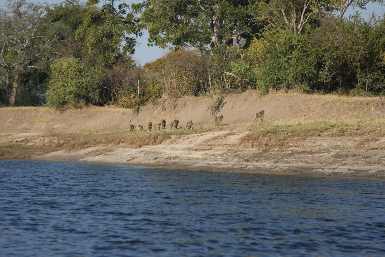 [28212] 2016_07_02_10_26_35_Africa_Canon_EOS_40D_IMG__04589.jpg