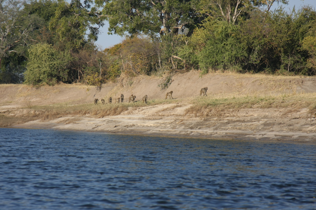 [28213] 2016_07_02_10_26_35_Africa_Canon_EOS_40D_IMG__04591.jpg