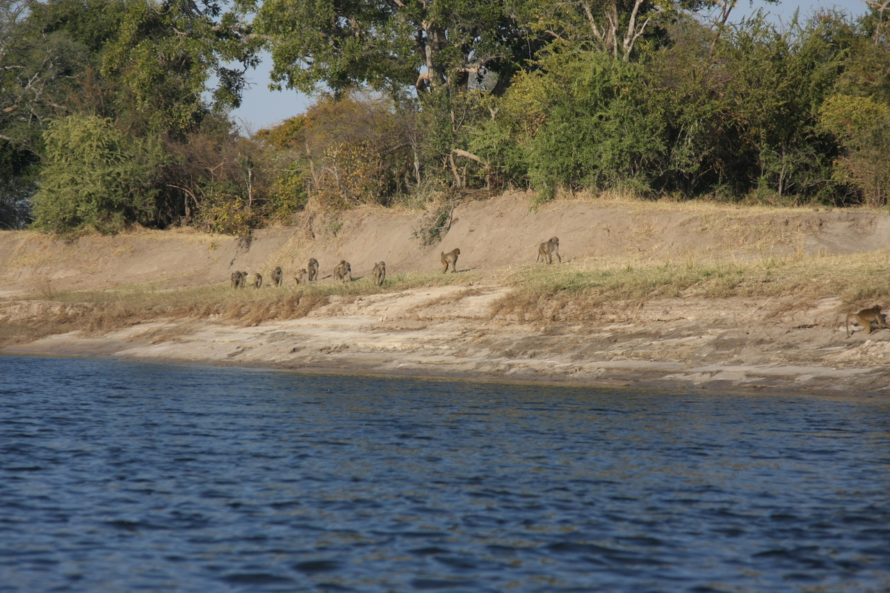 [28214] 2016_07_02_10_26_35_Africa_Canon_EOS_40D_IMG__04592.jpg