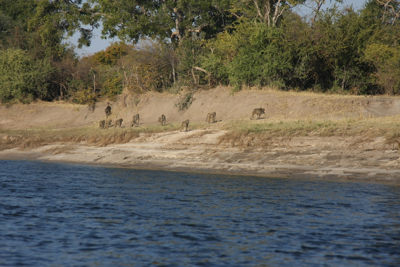 [28223] 2016_07_02_10_26_38_Africa_Canon_EOS_40D_IMG__12041.jpg