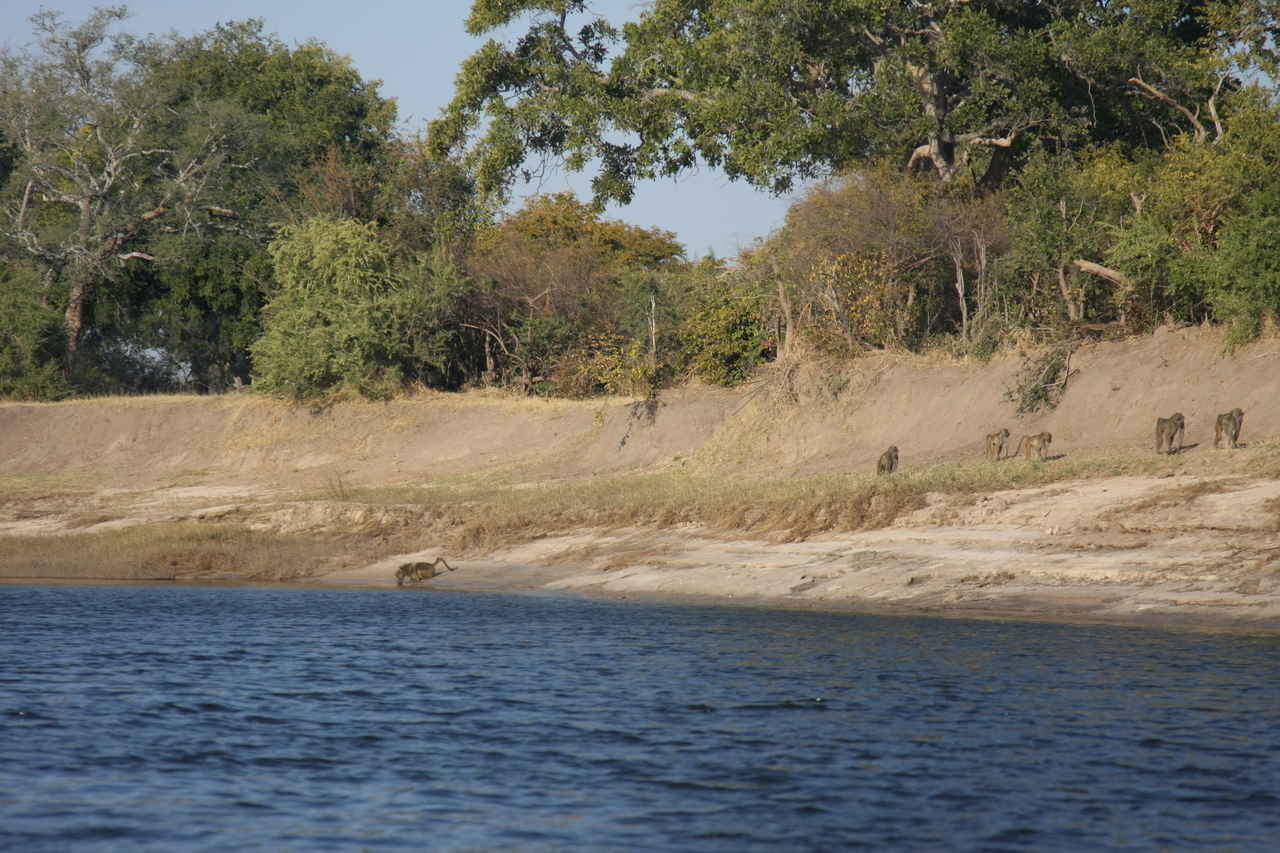 [28227] 2016_07_02_10_26_57_Africa_Canon_EOS_40D_IMG__04595.jpg