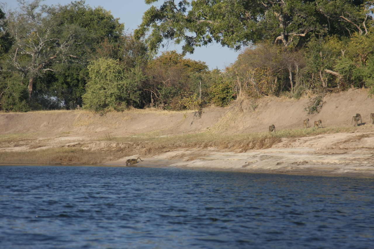 [28229] 2016_07_02_10_26_57_Africa_Canon_EOS_40D_IMG__04597.jpg