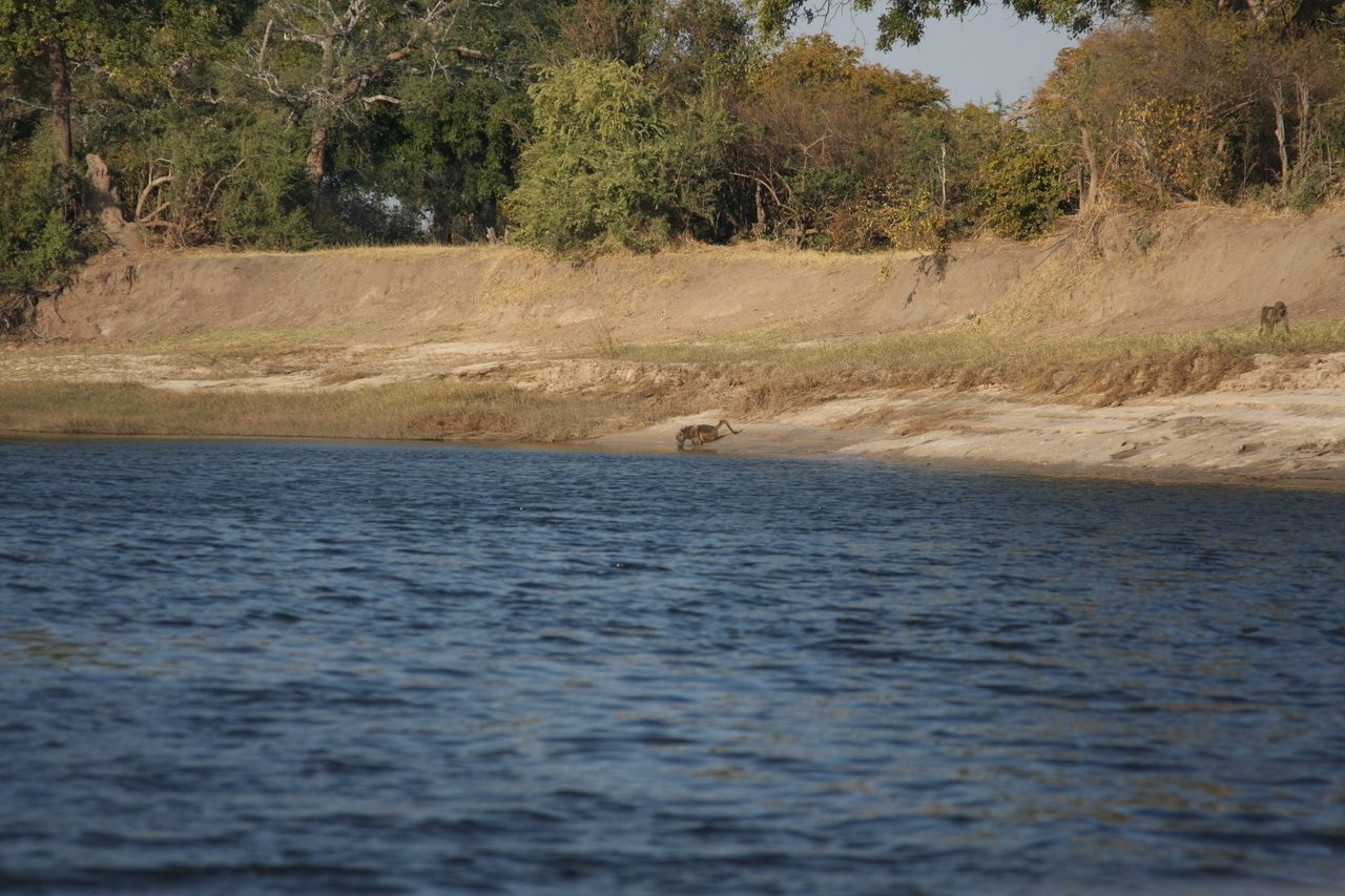 [28239] 2016_07_02_10_27_01_Africa_Canon_EOS_40D_IMG__12045.jpg