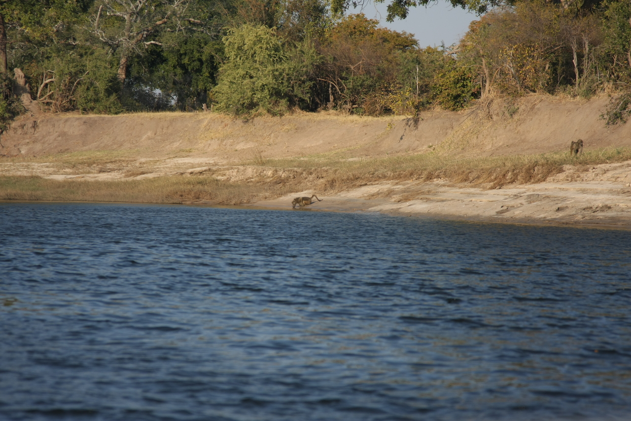 [28240] 2016_07_02_10_27_01_Africa_Canon_EOS_40D_IMG__12046.jpg