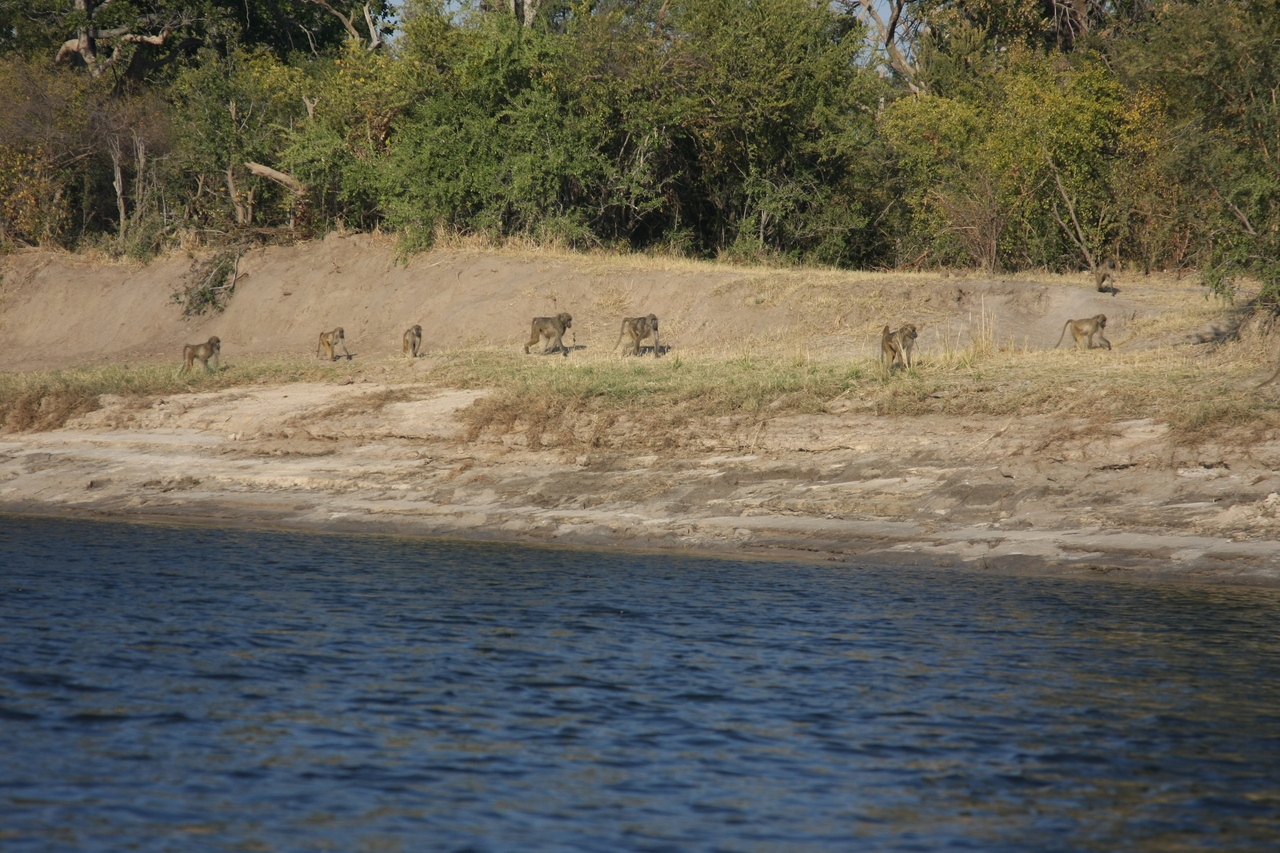 [28244] 2016_07_02_10_27_04_Africa_Canon_EOS_40D_IMG__12049.jpg