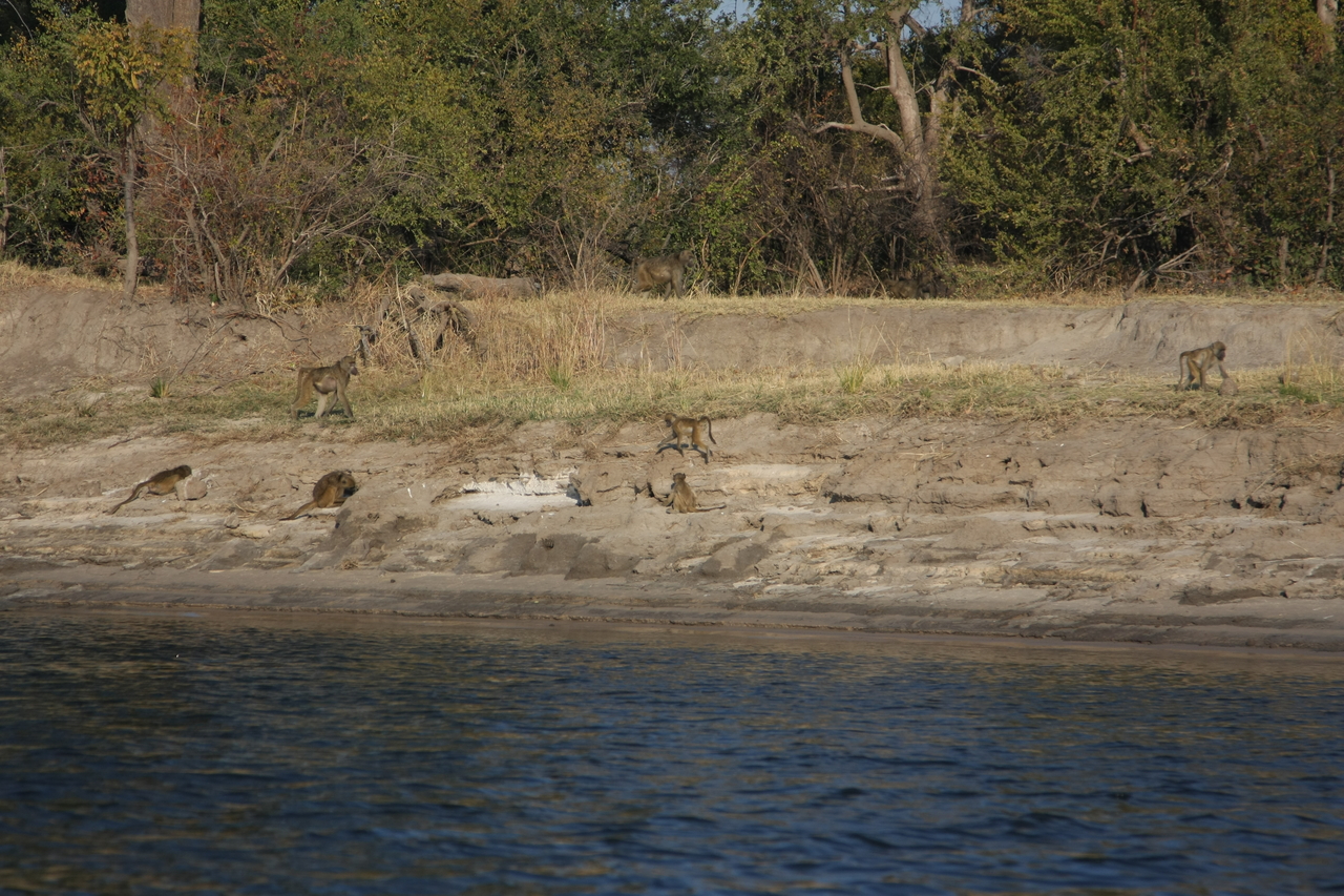 [28246] 2016_07_02_10_27_09_Africa_Canon_EOS_40D_IMG__00061.jpg