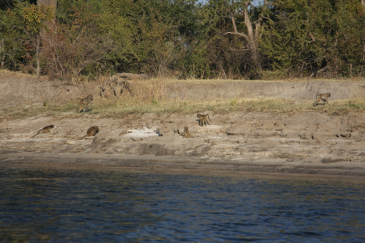 [28247] 2016_07_02_10_27_09_Africa_Canon_EOS_40D_IMG__04603.jpg