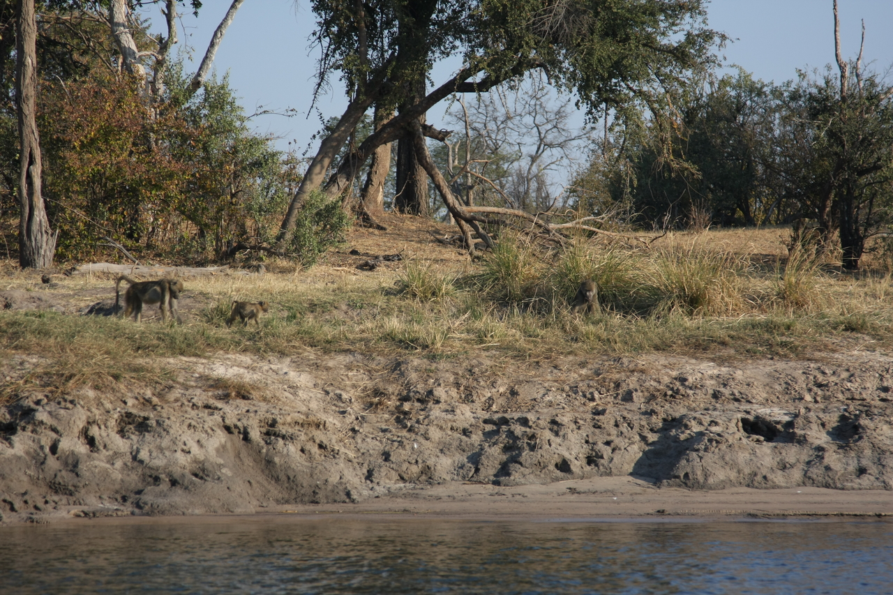 [28252] 2016_07_02_10_27_16_Africa_Canon_EOS_40D_IMG__00063.jpg