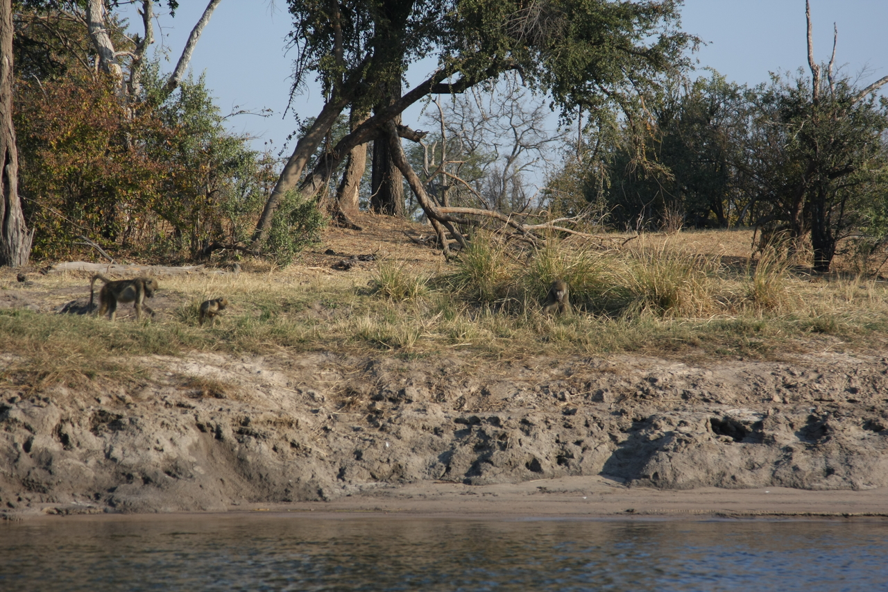 [28253] 2016_07_02_10_27_16_Africa_Canon_EOS_40D_IMG__04605.jpg