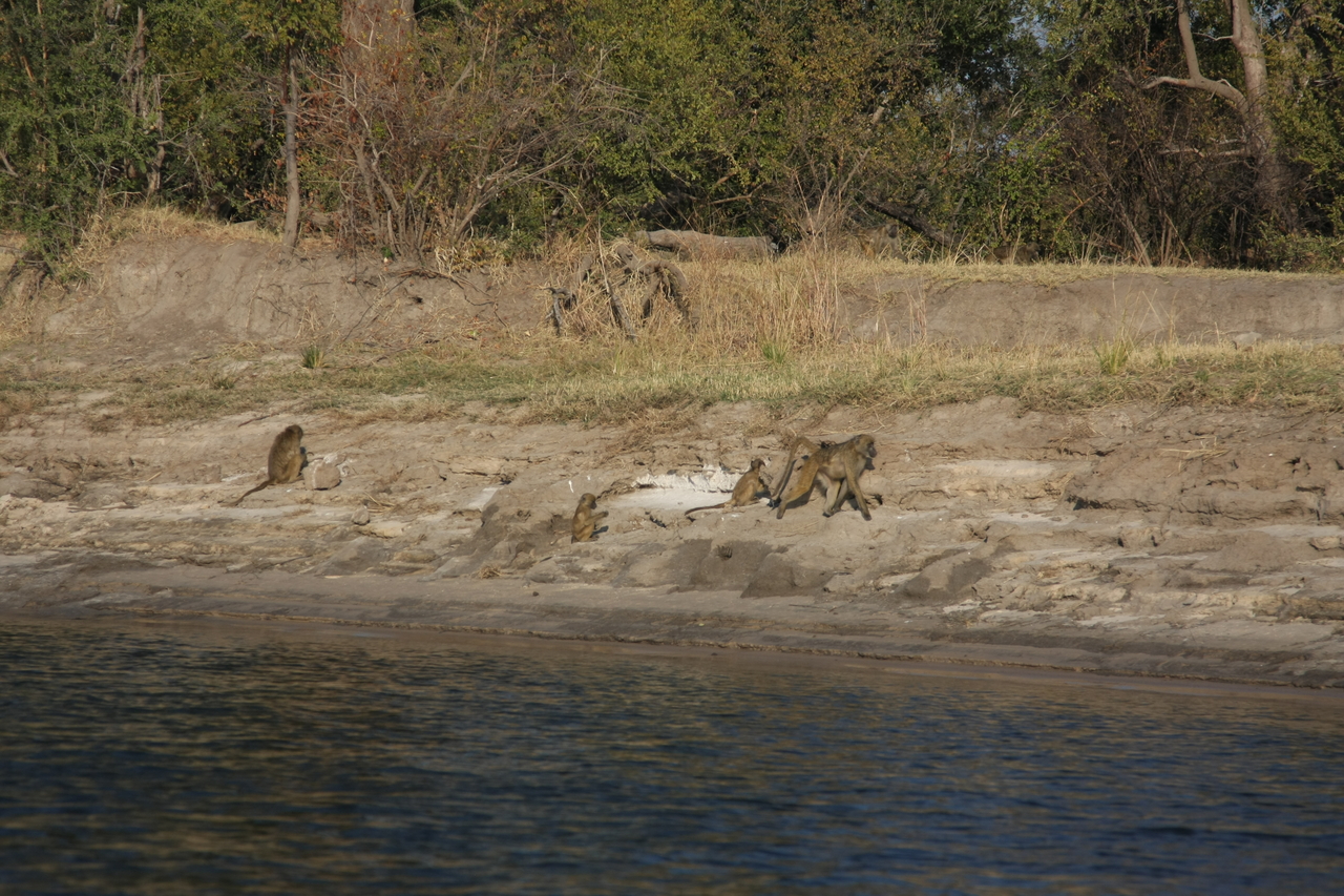 [28260] 2016_07_02_10_27_40_Africa_Canon_EOS_40D_IMG__04608.jpg