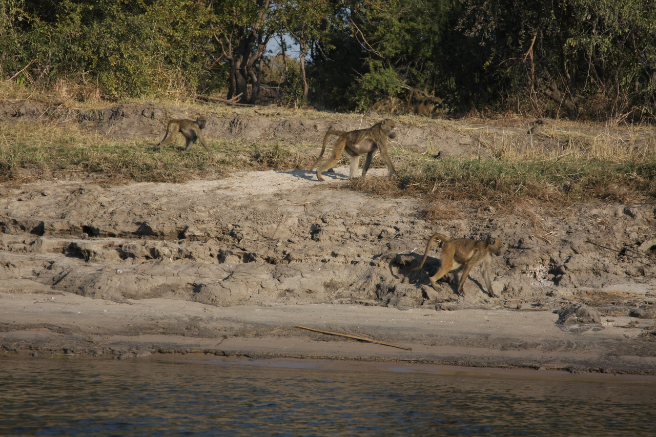 [28263] 2016_07_02_10_27_49_Africa_Canon_EOS_40D_IMG__00066.jpg