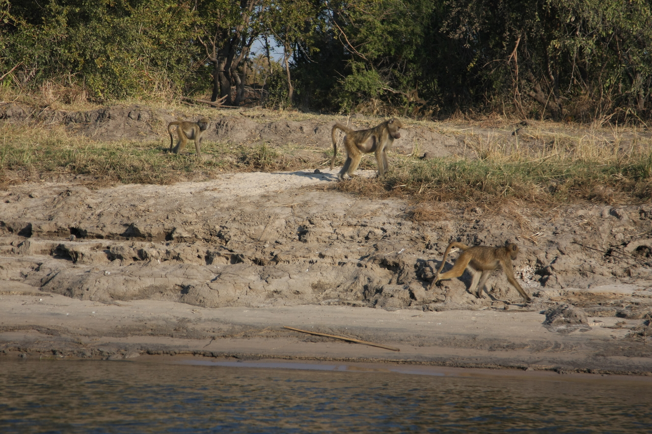 [28270] 2016_07_02_10_27_49_Africa_Canon_EOS_40D_IMG__12057.jpg