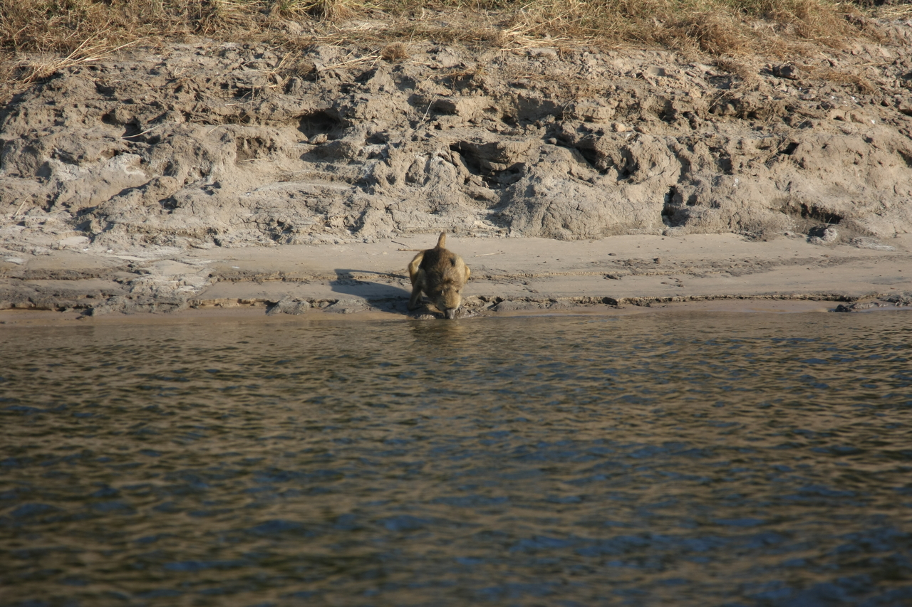 [28275] 2016_07_02_10_28_06_Africa_Canon_EOS_40D_IMG__04613.jpg