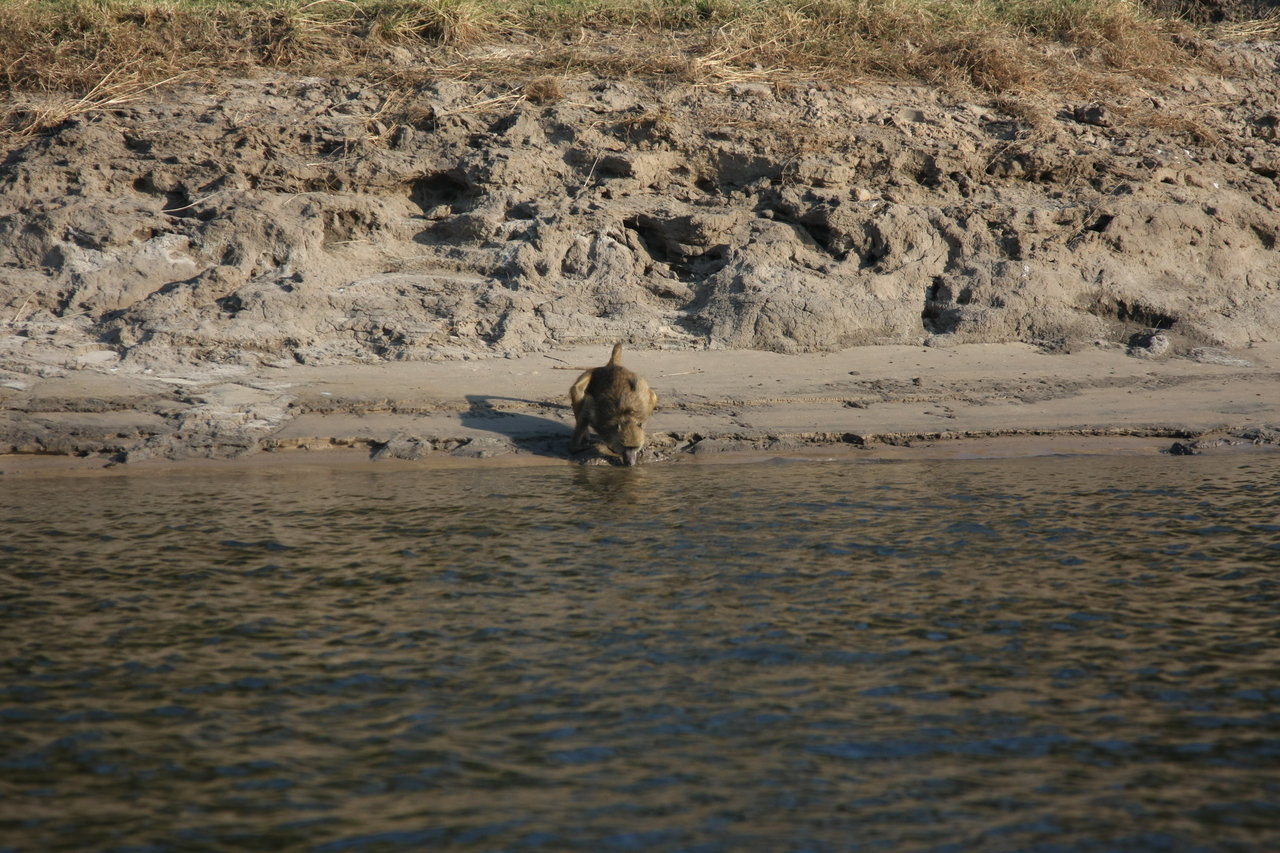 [28280] 2016_07_02_10_28_06_Africa_Canon_EOS_40D_IMG__12062.jpg