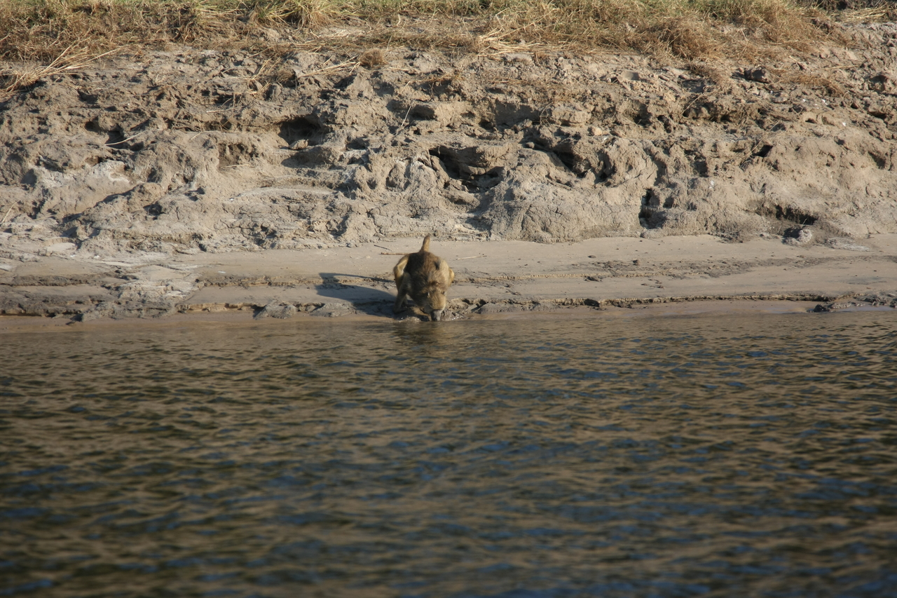 [28281] 2016_07_02_10_28_07_Africa_Canon_EOS_40D_IMG__00073.jpg