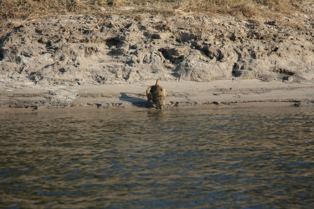 [28286] 2016_07_02_10_28_07_Africa_Canon_EOS_40D_IMG__12064.jpg