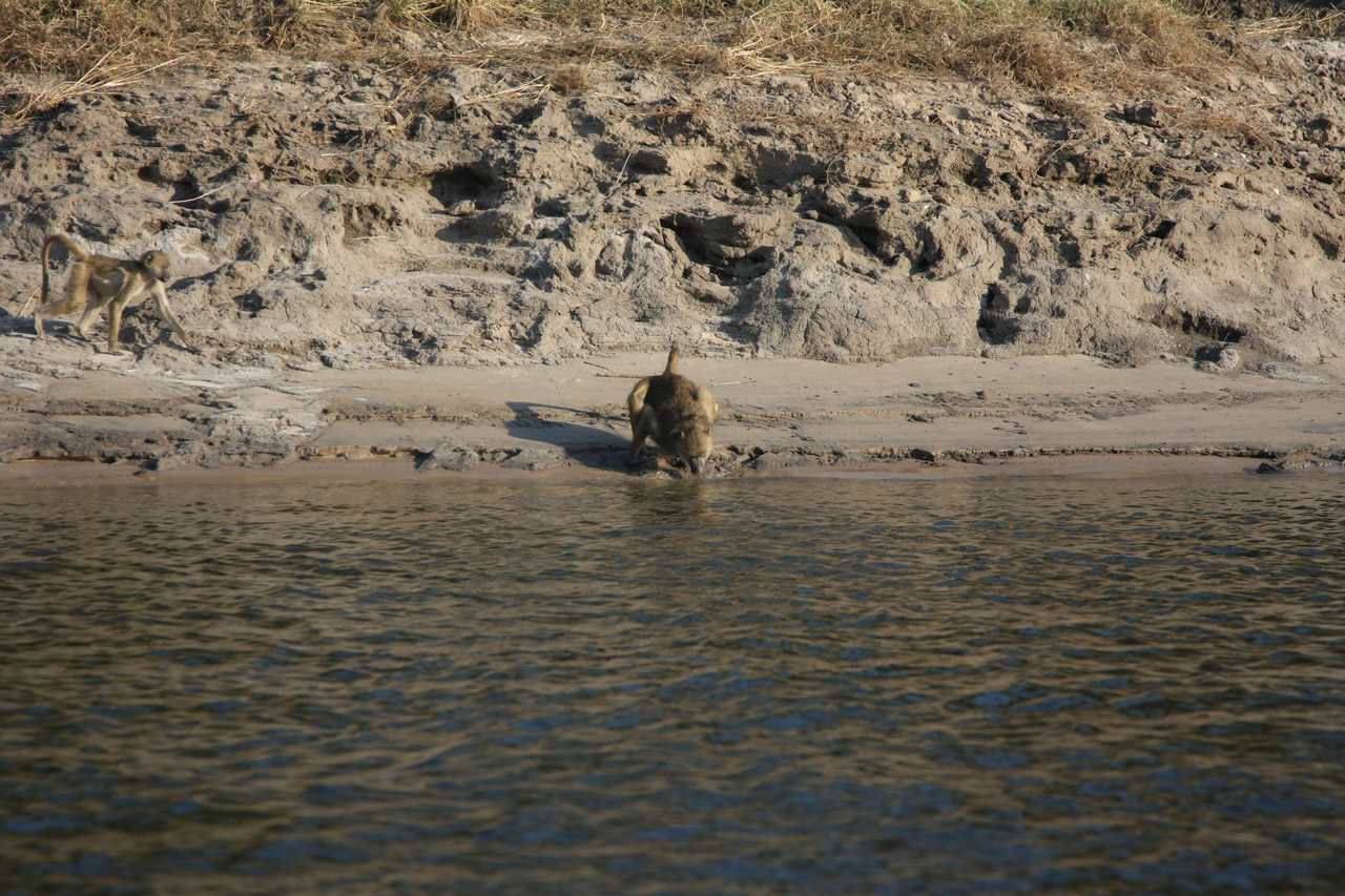 [28288] 2016_07_02_10_28_10_Africa_Canon_EOS_40D_IMG__04618.jpg