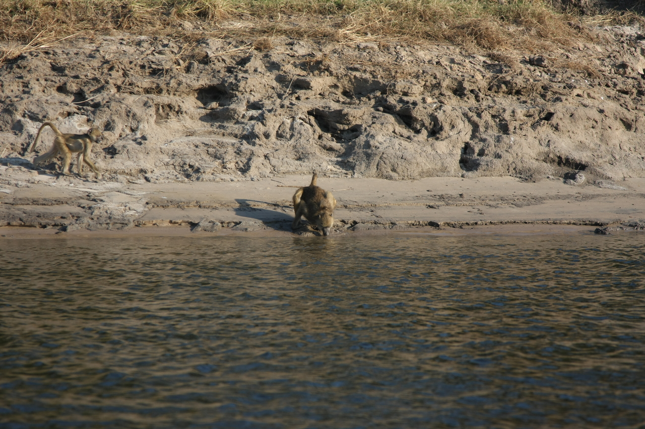 [28292] 2016_07_02_10_28_11_Africa_Canon_EOS_40D_IMG__12066.jpg