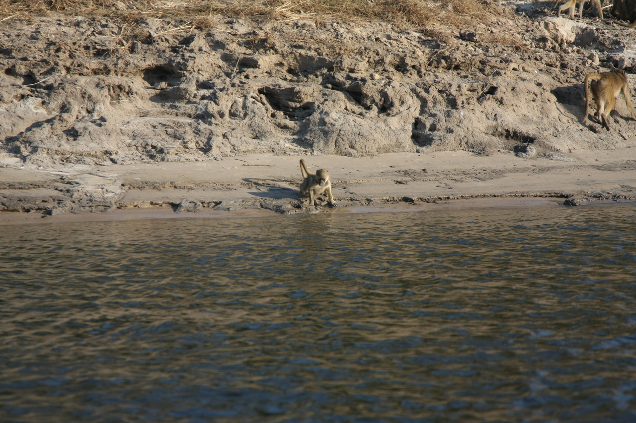 [28297] 2016_07_02_10_28_22_Africa_Canon_EOS_40D_IMG__12067.jpg