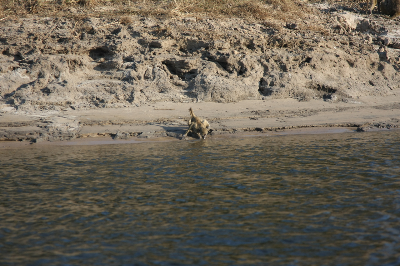 [28300] 2016_07_02_10_28_23_Africa_Canon_EOS_40D_IMG__04622.jpg