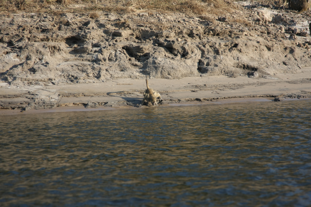 [28303] 2016_07_02_10_28_24_Africa_Canon_EOS_40D_IMG__00082.jpg