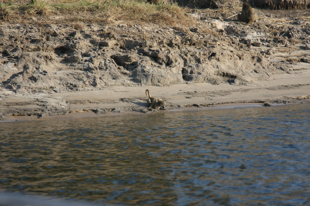 [28315] 2016_07_02_10_28_43_Africa_Canon_EOS_40D_IMG__00086.jpg