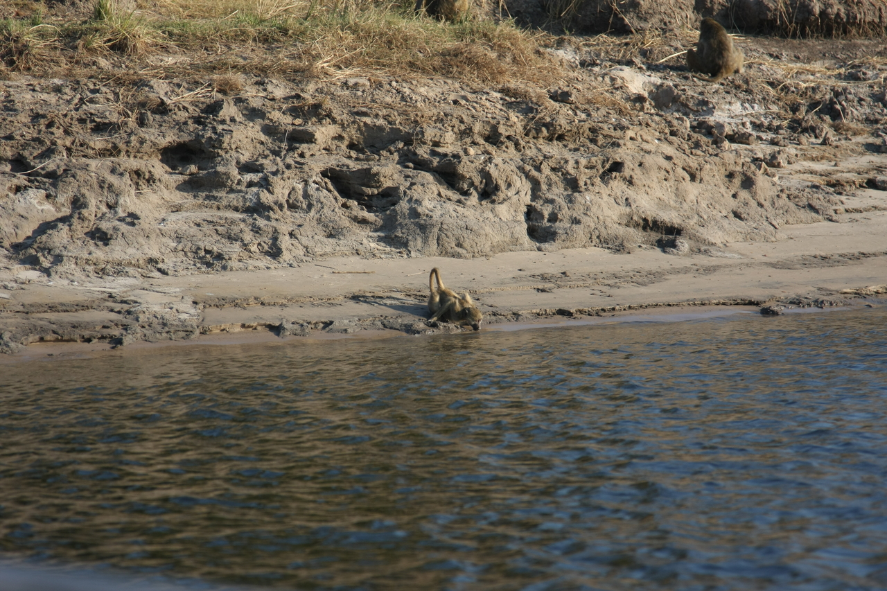 [28316] 2016_07_02_10_28_43_Africa_Canon_EOS_40D_IMG__04628.jpg