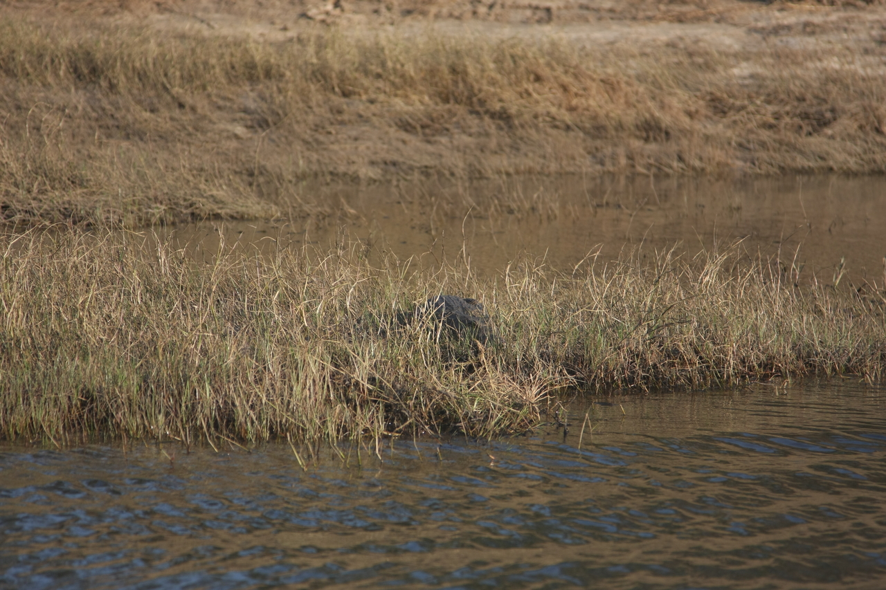 [28328] 2016_07_02_10_32_47_Africa_Canon_EOS_40D_IMG__12079.jpg