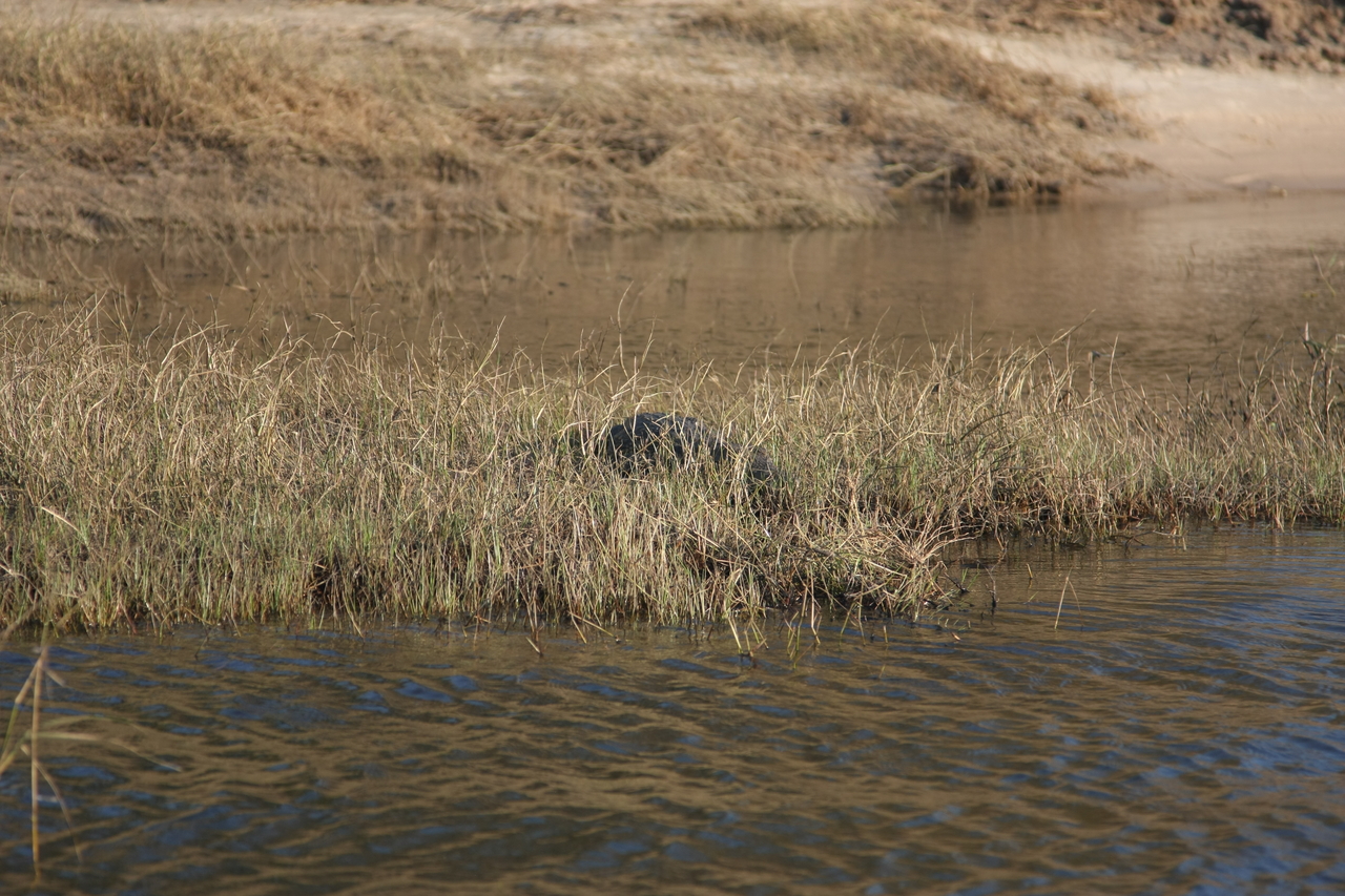 [28333] 2016_07_02_10_33_37_Africa_Canon_EOS_40D_IMG__12080.jpg