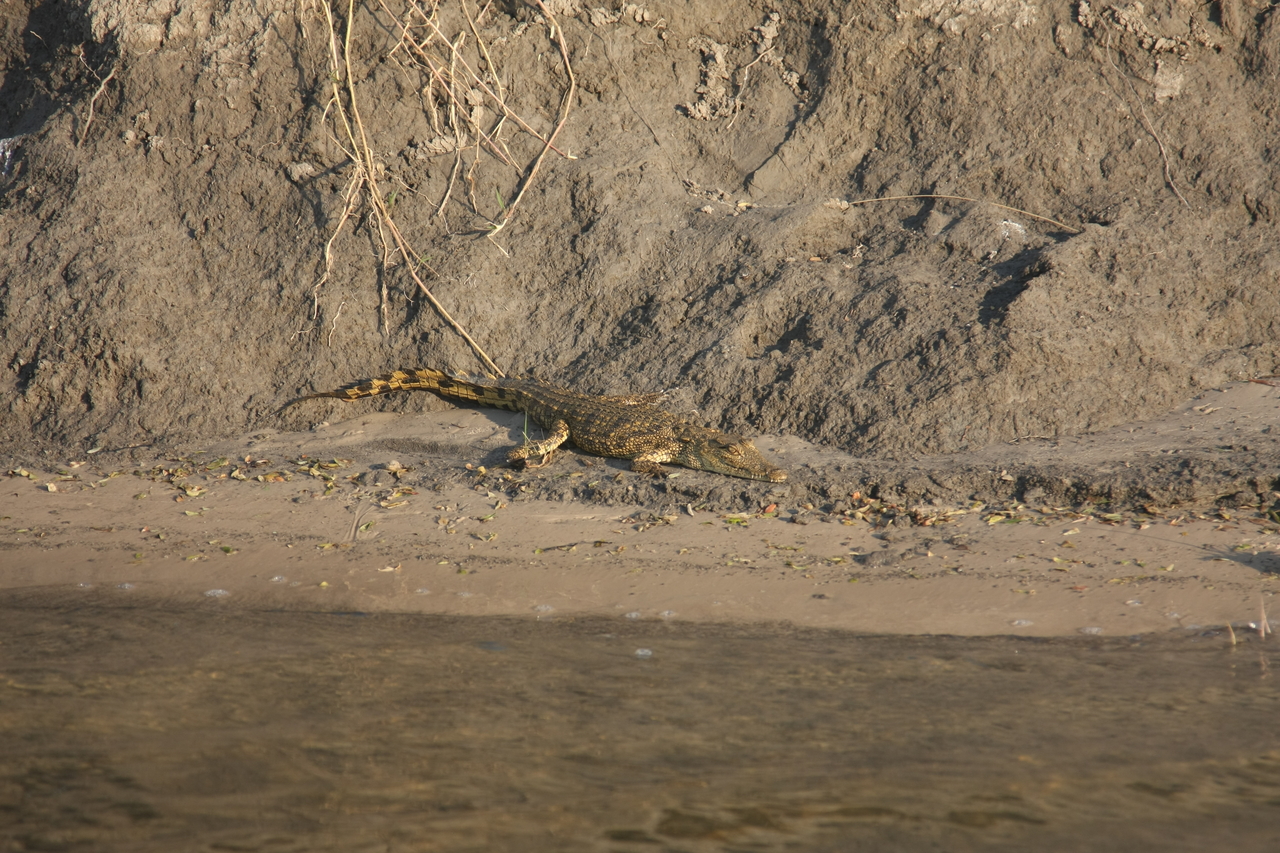 [28359] 2016_07_02_10_49_24_Africa_Canon_EOS_40D_IMG__00099.jpg