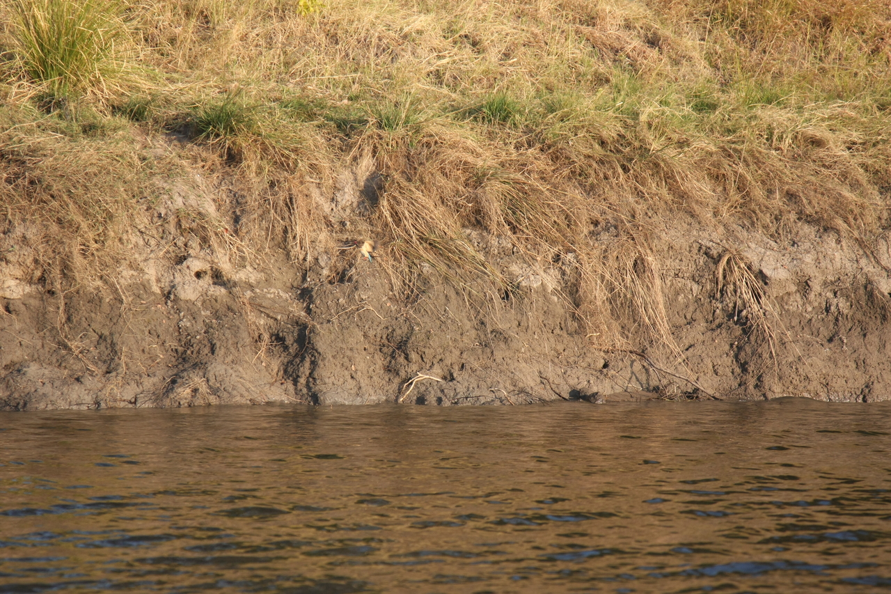 [28403] 2016_07_02_10_57_46_Africa_Canon_EOS_40D_IMG__00118.jpg