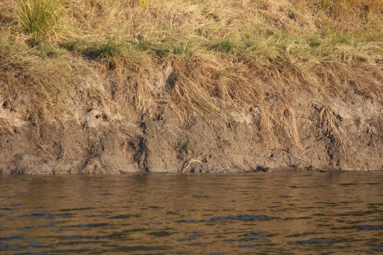 [28410] 2016_07_02_10_57_47_Africa_Canon_EOS_40D_IMG__00119.jpg