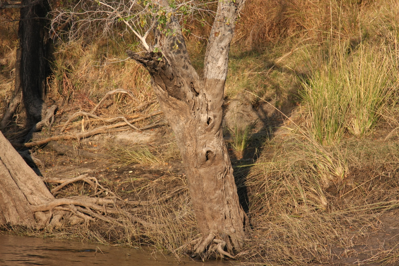 [28419] 2016_07_02_10_59_41_Africa_Canon_EOS_40D_IMG__00122.jpg