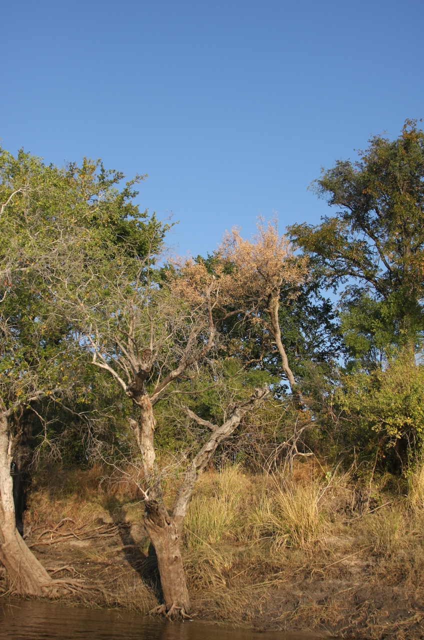 [28425] 2016_07_02_11_00_06_Africa_Canon_EOS_40D_IMG__00124.jpg