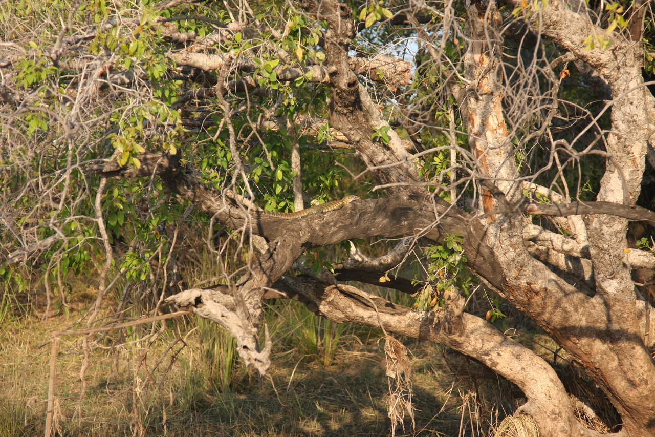 [28460] 2016_07_02_11_03_02_Africa_Canon_EOS_40D_IMG__04680.jpg