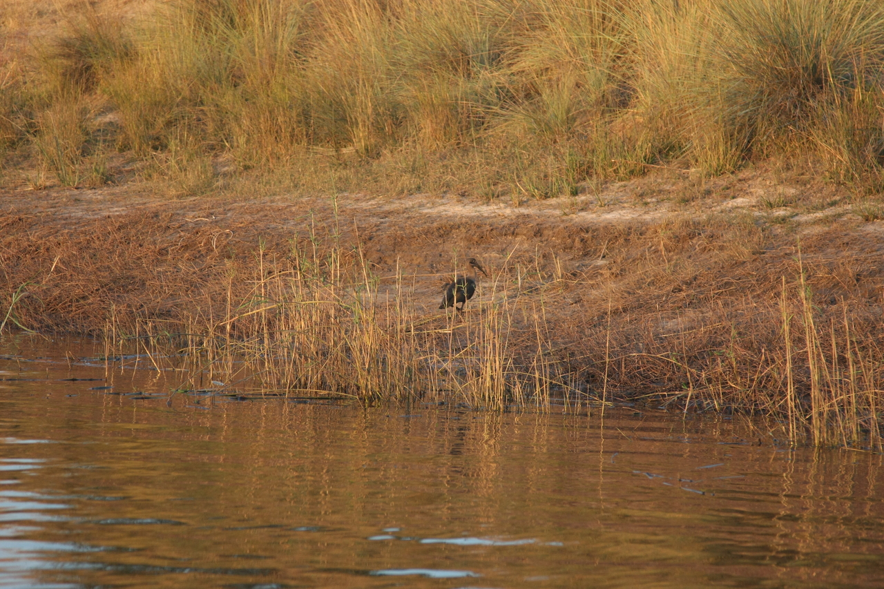 [28527] 2016_07_02_11_28_42_Africa_Canon_EOS_40D_IMG__12147.jpg