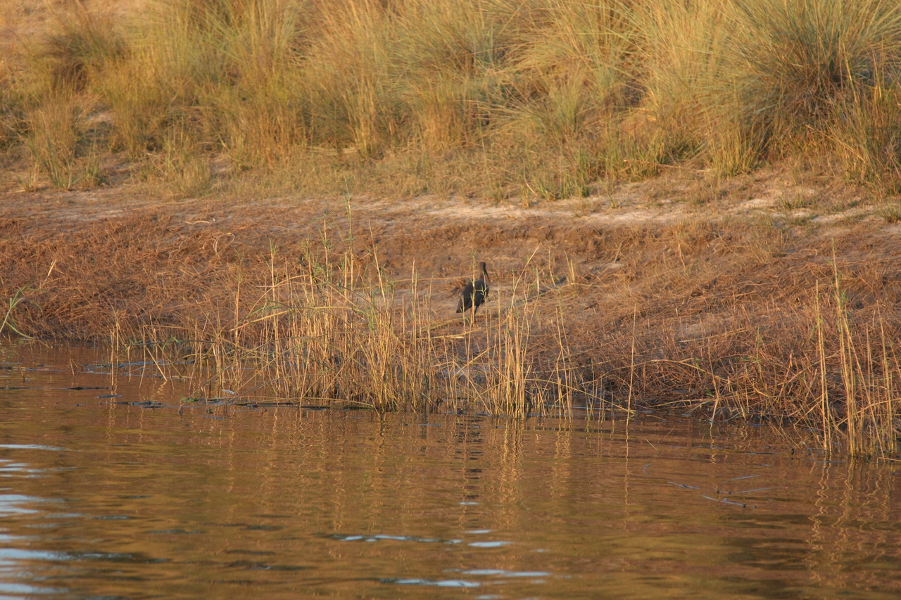 [28528] 2016_07_02_11_28_42_Africa_Canon_EOS_40D_IMG__12149.jpg