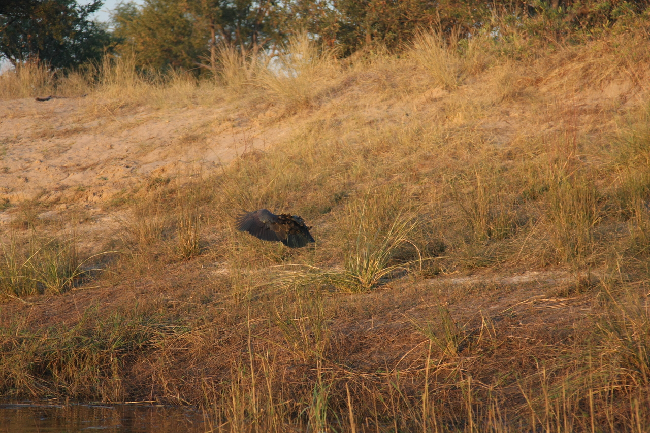 [28546] 2016_07_02_11_28_59_Africa_Canon_EOS_40D_IMG__12155.jpg