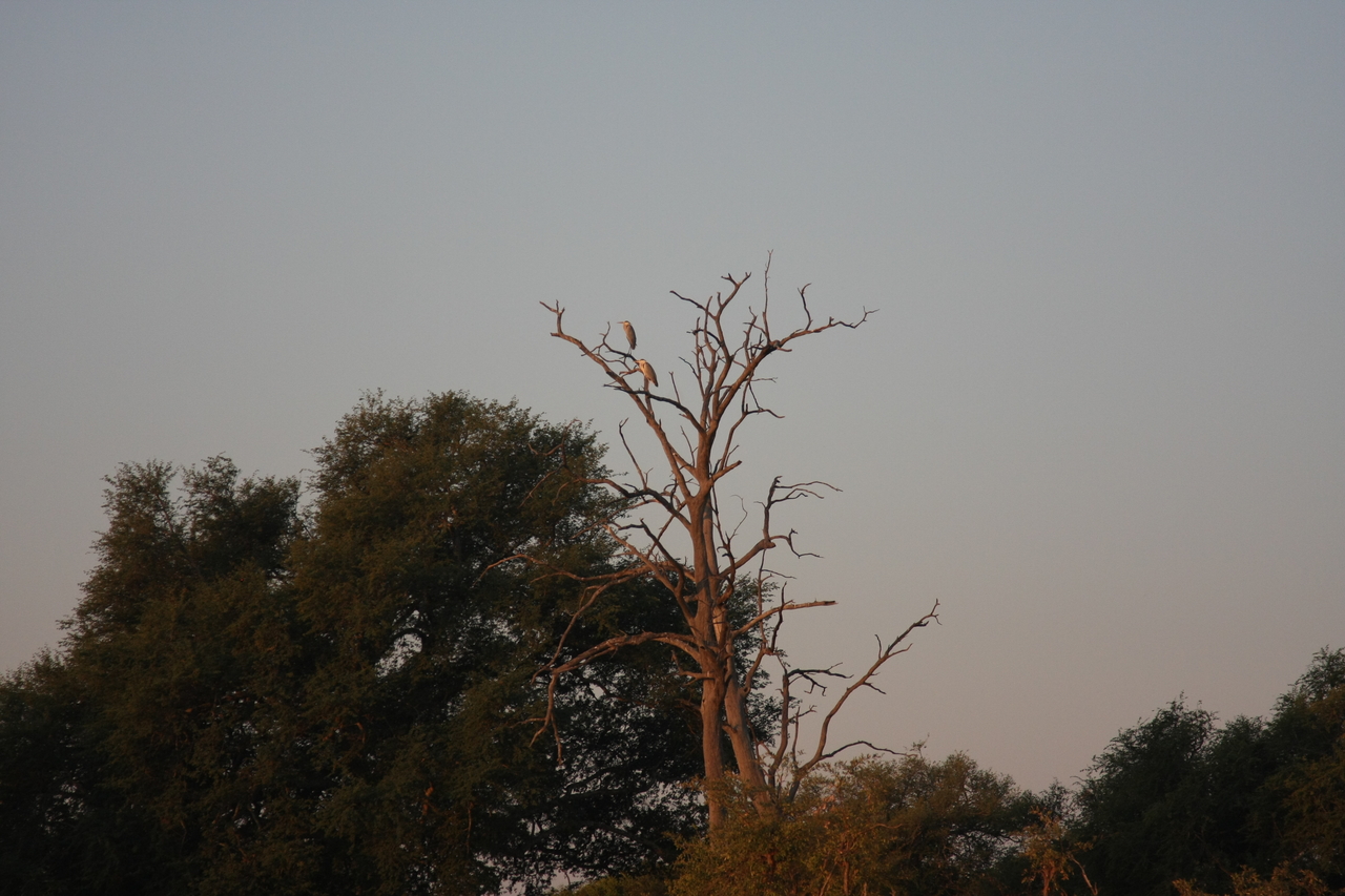 [28551] 2016_07_02_11_30_30_Africa_Canon_EOS_40D_IMG__04711.jpg