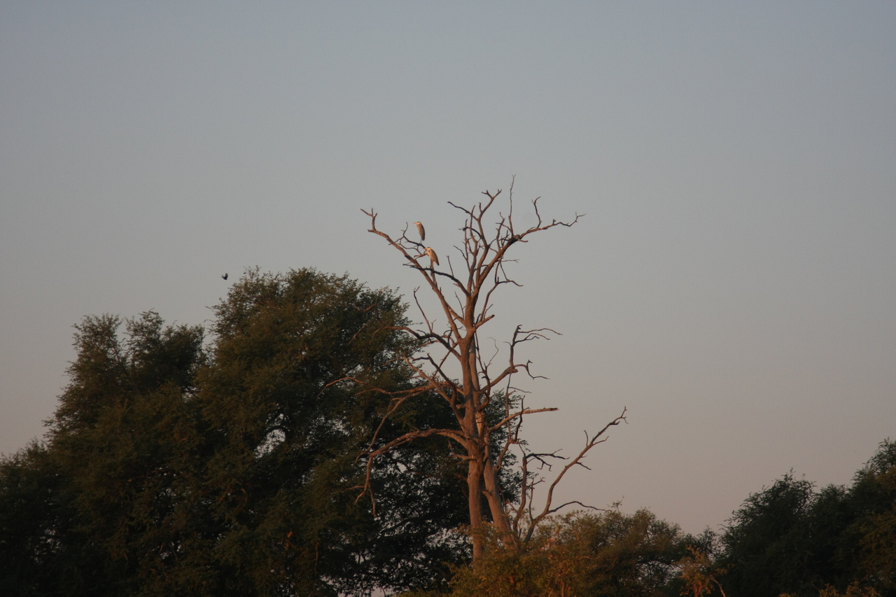 [28552] 2016_07_02_11_30_30_Africa_Canon_EOS_40D_IMG__12157.jpg