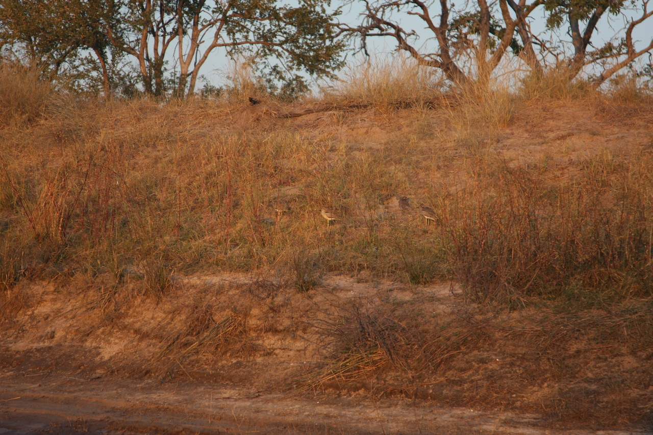 [28567] 2016_07_02_11_32_33_Africa_Canon_EOS_40D_IMG__12162.jpg